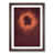 Walnut Framed