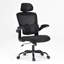 Ergonomic Office Chair,High Back Desk Chair with Flip-Up Armrest and Adjustable Lumbar Support,Computer Chair for and Office