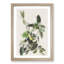 Palm Warbler by John Audubon - Framed Print-55578213-55578215