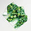 Tapisserie murale Botanical Pilea-133643743