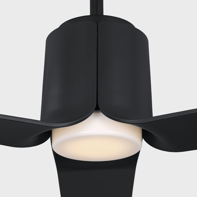 Ventilateur de plafond intérieur Trant avec tige filetée, pales en ABS noir minuit et télécommande portable