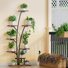 Support pour plante 63,39 po Wert