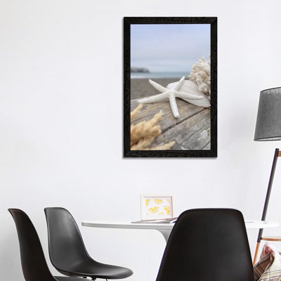 Crescent Beach Shells XIII by Alan Blaustein - Floater Frame Print on Canvas