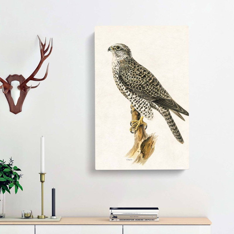 Gyrfalcon by Von Wright - Wrapped Canvas, 91cm H x 60cm W x 3cm D
