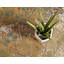 Tapis d'intérieur / extérieur multicolore à motif abstrait Trona-29306109