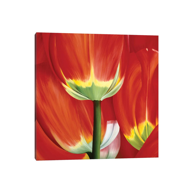 Most Beautiful Tulip I by Yvonne Poelstra-Holzhaus - Wrapped Canvas Gallery-Wrapped Canvas Giclée, 93.98 cm H x 93.98 cm W