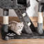 Marcelo 660.4cm H Cat Tree-94560503