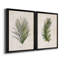 Palm Botanical I - ensemble de 2 impressions-1280204971-1280204975-1211584034