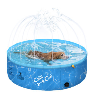 Chill Out Sprinking 2-en-1, chien, piscine, bleu