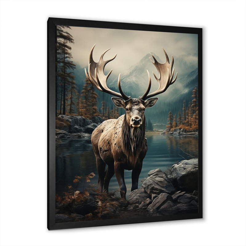 «Moose Coastal Wanderer» par Avereigh - reproduction sur toile, H 32 po x l 16 po x P 1 po, Cadre photo noir