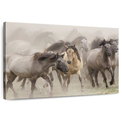 Stampede à cheval sauvage Brampt