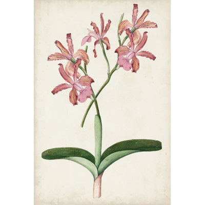 Orchid Pair I - Wrapped Canvas Painting
