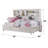 Briggs Daybed W/Storage-1011133017