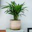 Indoor Planter, Reactive Glaze Como Pot-1228869547-1228869544