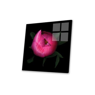 " Peony XXXV " by Magda Indigo