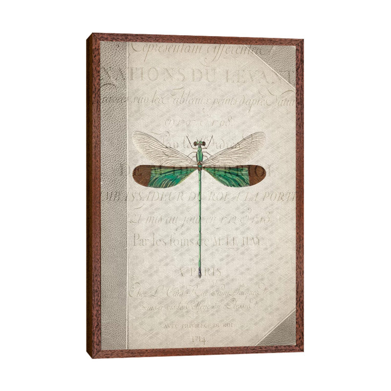Dragonfly Book II 1 Piece Wall Art on Canvas, 101.6cm H x 66.04cm W x 3.81cm D, Classic Brown Wood Framed