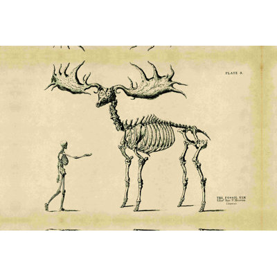 " Fossil Elk Friend " Painting Print