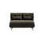 Varujhan 2 Seater Sofa Bed-1407565412-1464465506-1464465507