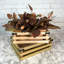 2 petites caisses en bois rustiques, décor de style maison de campagne, plateaux de présentation décoratifs pour la décoration intérieure