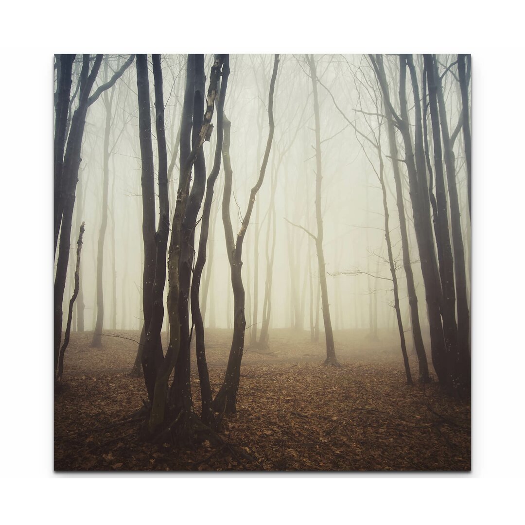 Leinwandbild Wald im Nebel