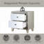 Sliverfluff Mirrored 2-Drawer Champagne Nightstand for Bedroom