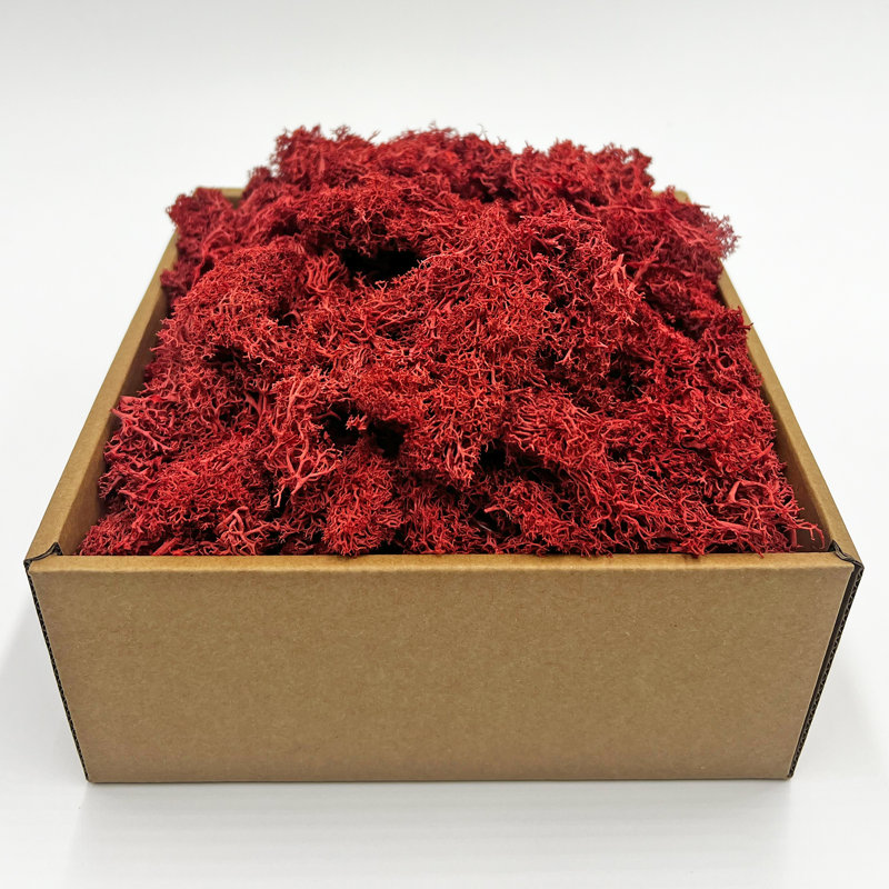 Preserved Moss Plant, 2" H x 7.5" W x 7.5" D