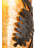 Jahanara Steel Flush Mounted Sconce