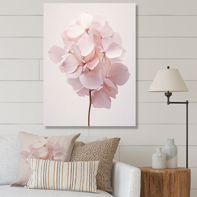 Pink Hydrangea Whispering Petals On Canvas Print