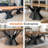 Kruna Metal Dining Table Base-1652691908