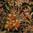 Wild Orchid Black selected