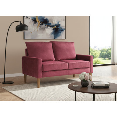 Modern Minimalist Velvet Upholstered Loveseat Sofa, Solid Wood Frame Coil Spring Cushioned Compact 2-Seater Couch for Living Room Apartment