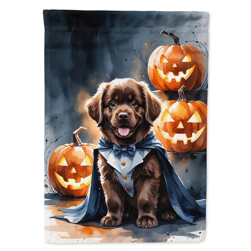 Drapeau de jardin chiot Halloween, Chocolat Terre-Neuve