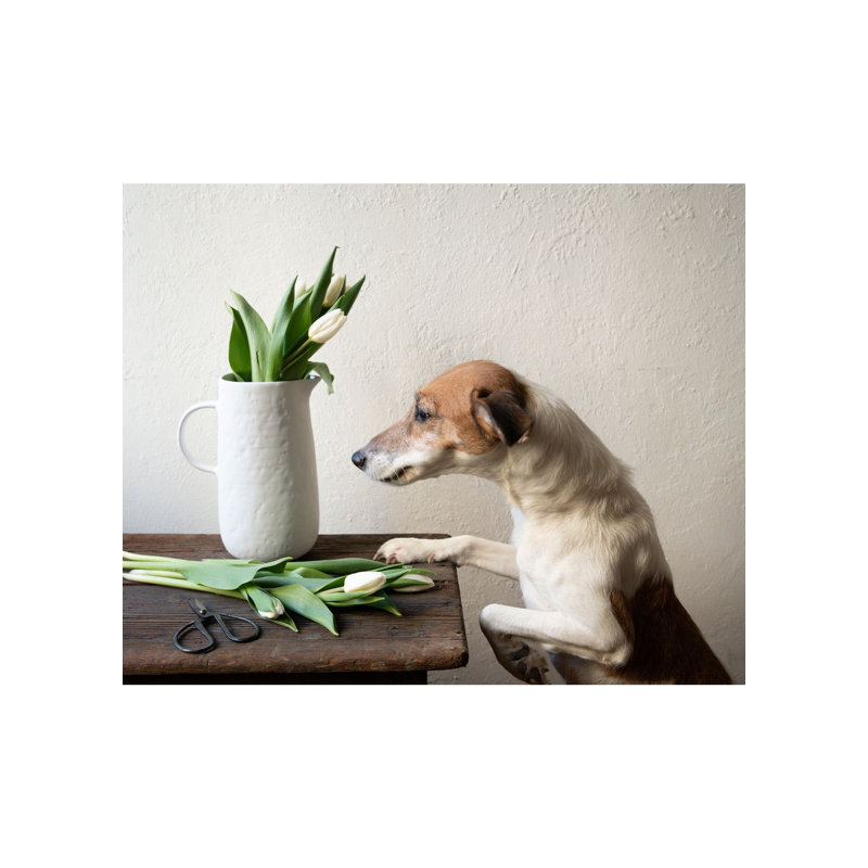 Handmade Ceramic / Porcelain Table Vase