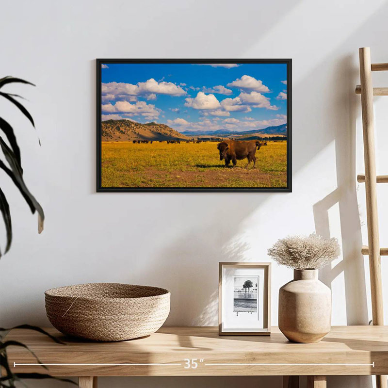Bison dans le parc national, 19 po x 13 po, Cadre flottant noir