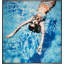 Catching Rays Print by Jeff Schaub-87730501-87730502-87730503