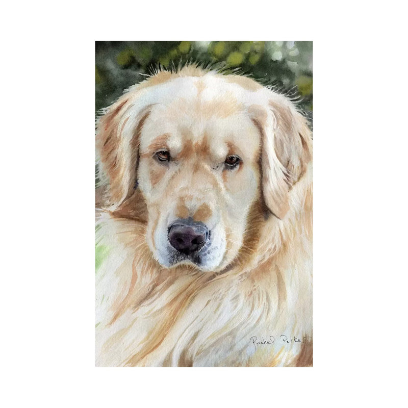 Golden Retriever Portrait, No Matte, 12'' H x 8'' W x 0.75'' D, Wrapped Canvas