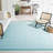 Mohnton Hand Woven Cotton Solid Color Rug-23025295
