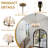 5 - Light Dimmable Classic / Traditional Chandelier-1029584897