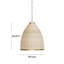  Luminaire suspendu