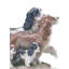 Puppy Parade Girl with Dogs Figurine