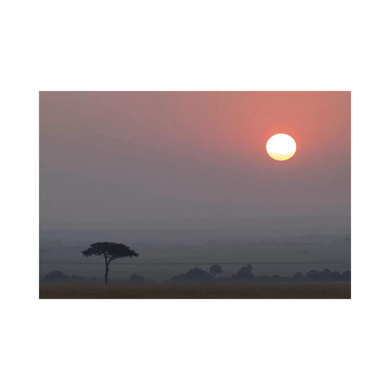 Africa, Tanzania, Ngorongoro Conservation Area. Savannah At Sunset. - Wrapped Canvas Print