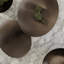 Ondea Stainless Steel Decorative Bowl-91268775