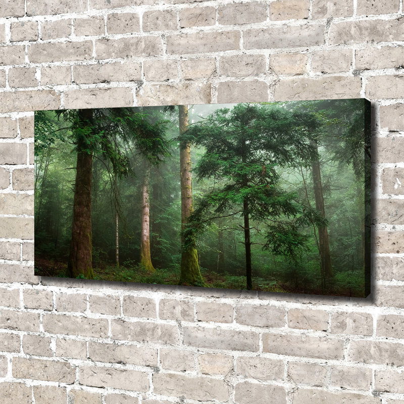 Fog in the Forest 1 Piece Wrapped Canvas Wall Art