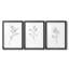 Croquis floral - reproduction encadrée sur mesure de qualité supérieure mate - 3 pièces-1851482083-1851482081