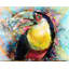 «Bird of Paradise» par Ryan James - reproduction d'art sur papier-577510715