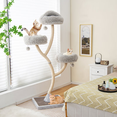 Charlbury 70'' H Cat Tree