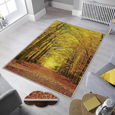 Tapis tissé élégant, 4 x 6 pieds, 100% polyester | Antibactérien, impression numérique 3D, dessous en feutre de PVC antidérapant | Lavable à la machine, d'une hauteur de poils de 0,4 po, parfait pour le décor du salon et de la chambre à coucher