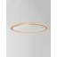 1 - Light Gold LED Unique/Statement Pendant