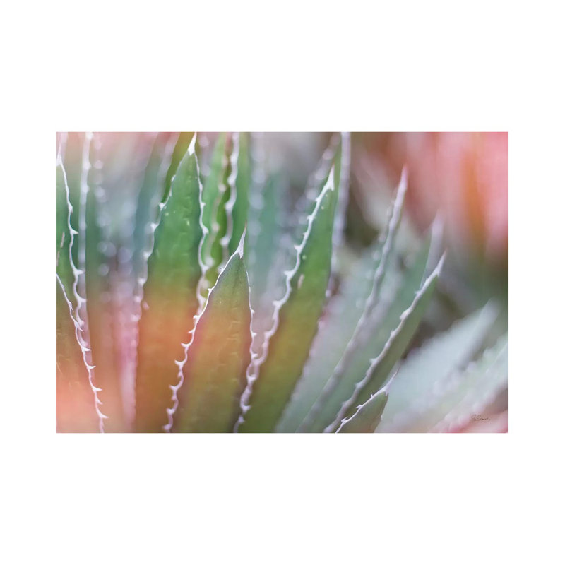 Dream Desert III by Sue Schlabach - Wrapped Canvas Print, 20.32cm H x 30.48cm W x 1.91cm D