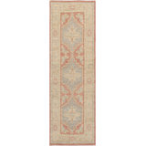 Oriental Area Rug in Coral
